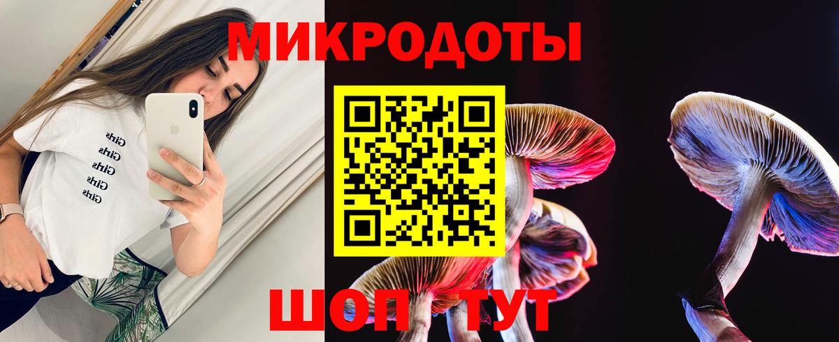 Псилоцибиновые грибы Psilocybe Мичуринск