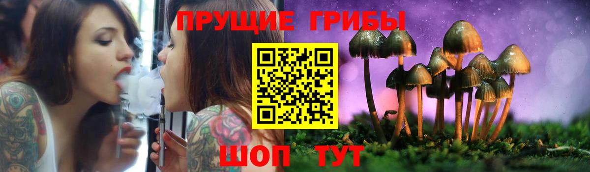 Галлюциногенные грибы Psilocybe  Галлюциногенные грибы мицелий  Вход с VPN  Мичуринск 