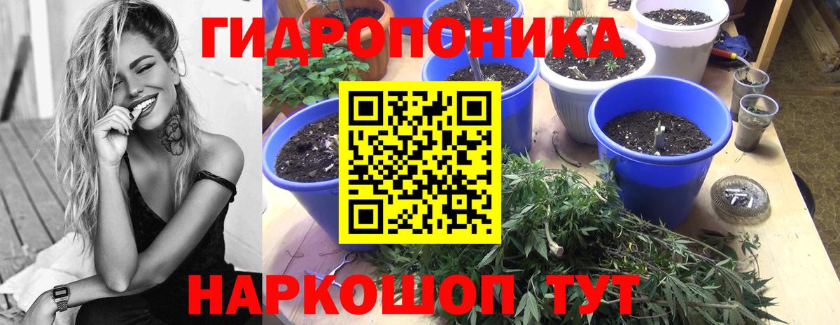 Марихуана план  Вход с VPN  Мичуринск  Каннабис Ganja  Марихуана LSD WEED 