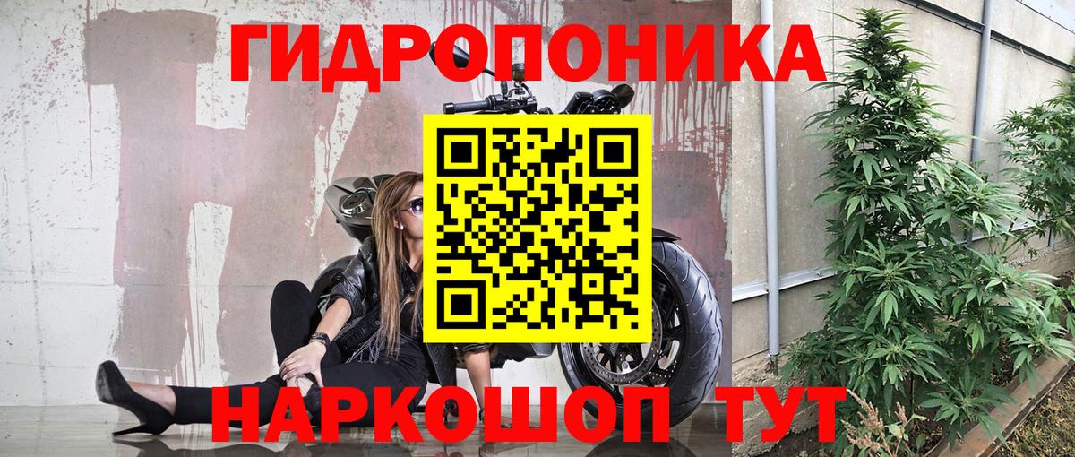 Каннабис семена Мичуринск